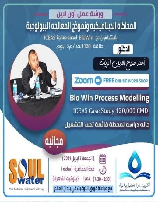 ICEAS and BioWin — Simulation training, 2021