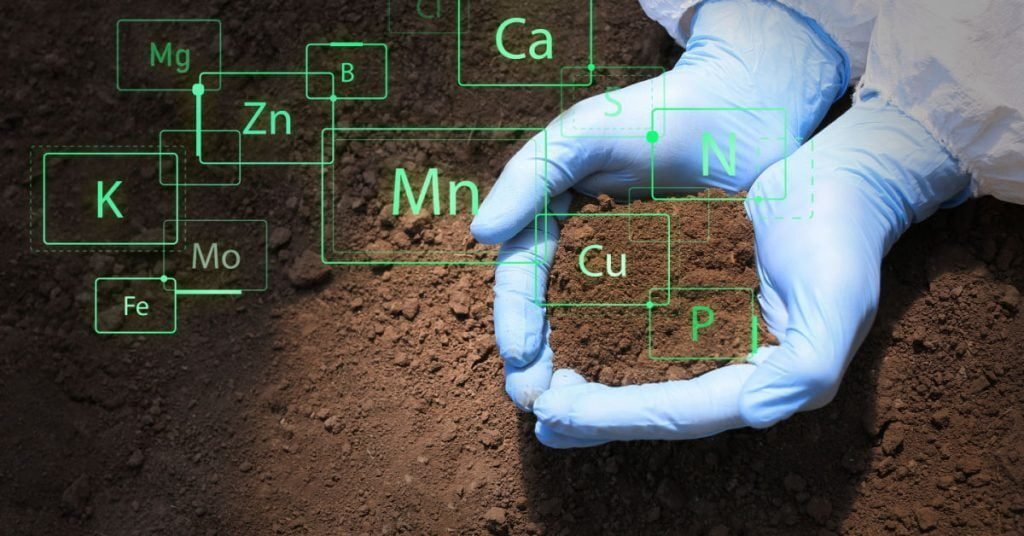 Soil remediation earthworks